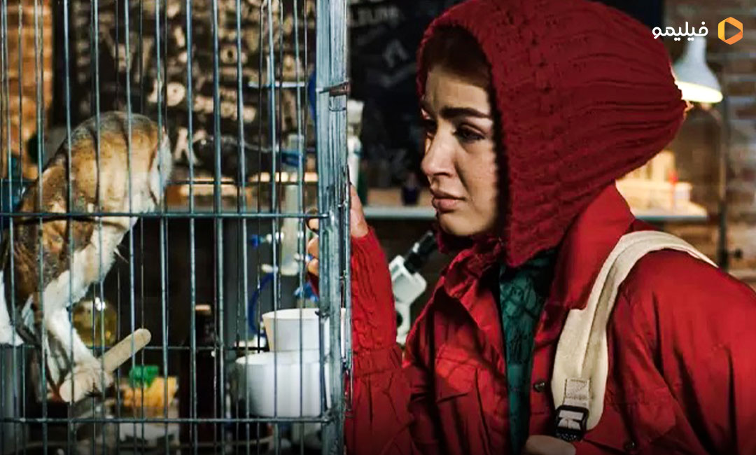 ستایش موسوی