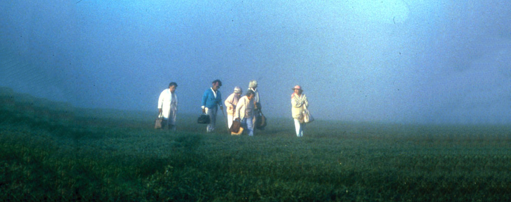 The Company of Strangers