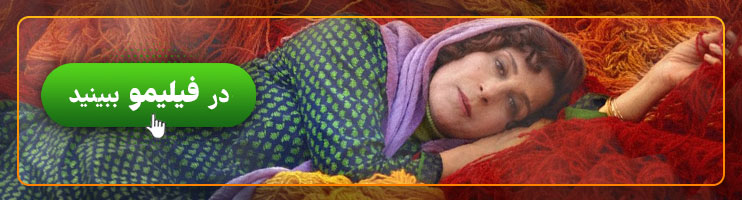 بنر بنفشه آفریقایی