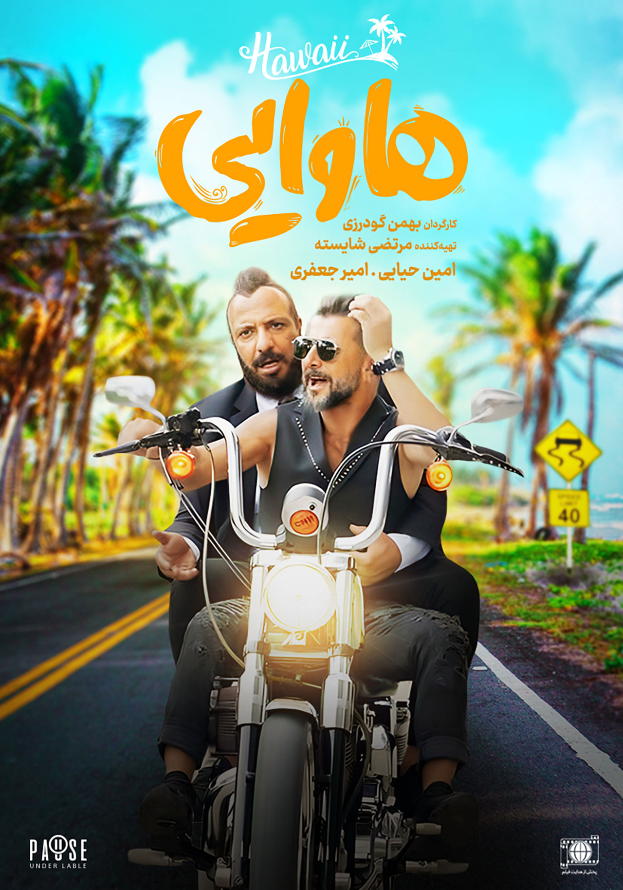 پوستر فیلم هاوایی